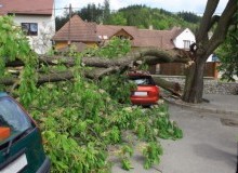 Kwikfynd Tree Cutting Services
nakara