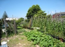 Kwikfynd Vegetable Gardens
nakara